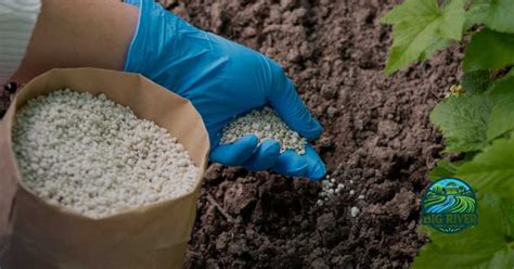 Reviving Your Soil: A Comprehensive Guide to Fertilizer Revitalization