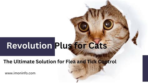 Revolution for Cats: The Ultimate Guide to Feline Flea and Tick Control