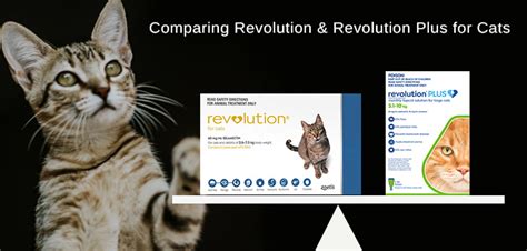 Revolution vs Revolution Plus: Clash of the Innovations