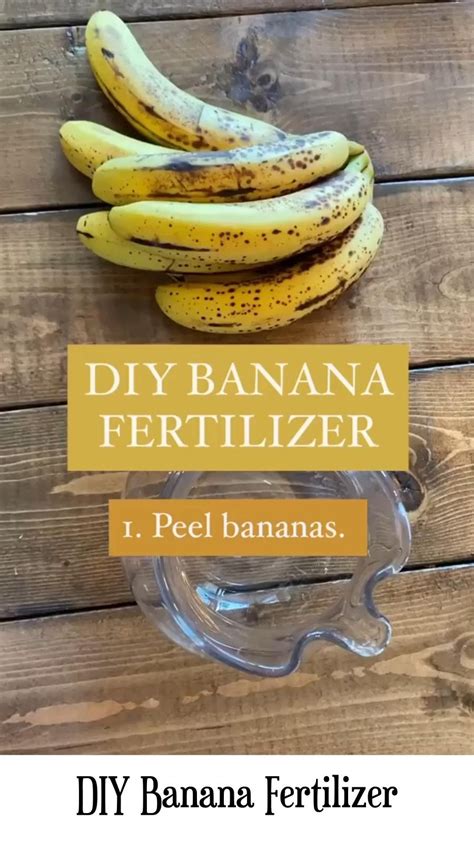 Revolutionize Your Gardening with Banana Fertilizer: A Natural and Nutrient-Rich Solution