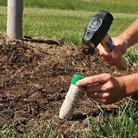 Revolutionize Your Plant Care: 7 Fertilizer Stakes That Will Change Your Garden Game