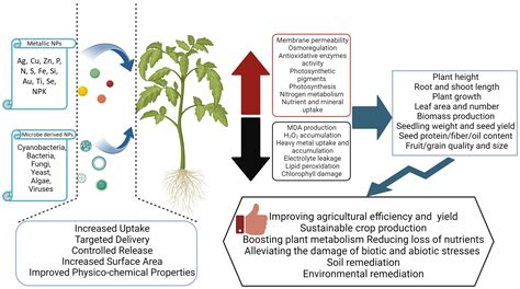 Revolutionizing Modern Agriculture: Exploring the Applications of Nano-Enabled Precision Farming