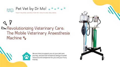 Revolutionizing Veterinary Care with Affordable and Accessible Services