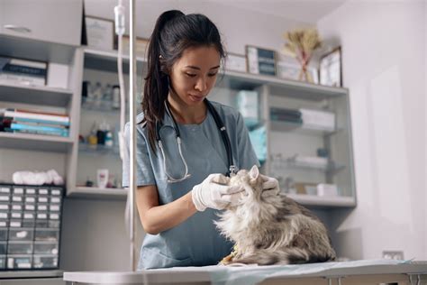 Revolutionizing the Veterinary Industry