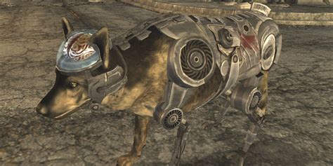 Rex Fallout: NV - Your Ultimate Guide to the Canine Companion in Fallout: New Vegas