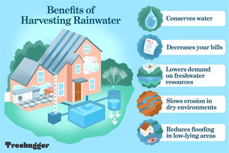 ReynaRains: The Rainwater Harvesting System That's Changing the World