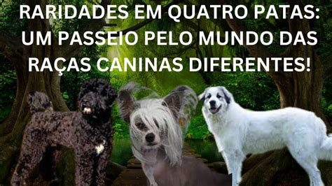 Rgigantes: Explorando o Mundo Encantador das Raças de Cães Grandes