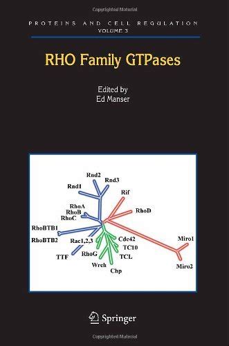 Rho Family GTPases 1st Edition Doc