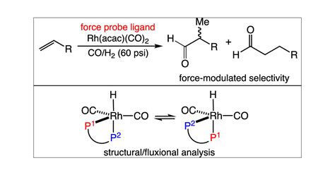 Rhodium Catalyzed Hydroformylation 1st Edition Reader