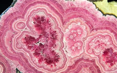 Rhodochrosite Argentina: A Gemstone of Exceptional Beauty