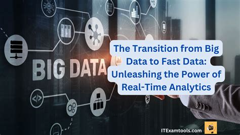 Ria Data: Unleashing the Power of Real-Time Analytics