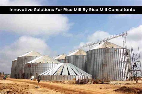 Rice Average Act: Unlocking the Full Potential of This Versatile Grain