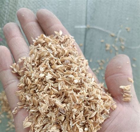 Rice Husks: A Sustainable Source of Bio-Based Materials