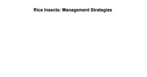 Rice Insects Management Strategies Reader