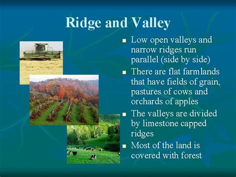 Ridge and Valley Region of Georgia: Major Cities Making Strides