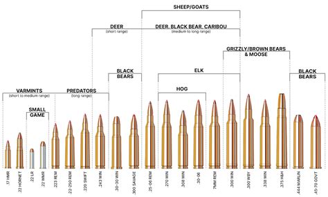 Rifle Ballistics Comparison Chart