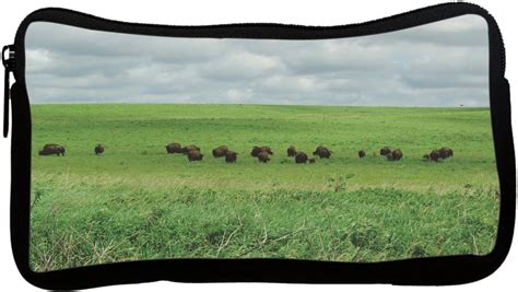 Rikki KnightTM Bison Grazing Protective Doc