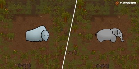 RimWorld: How to Feed a Bear