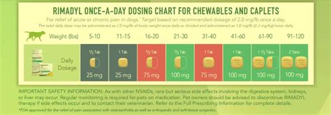 Rimadyl Dose for Dogs: 10 Key Things You Need to Know