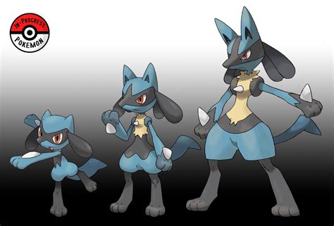 Riolu To Lucario: A Comprehensive Journey to Evolution