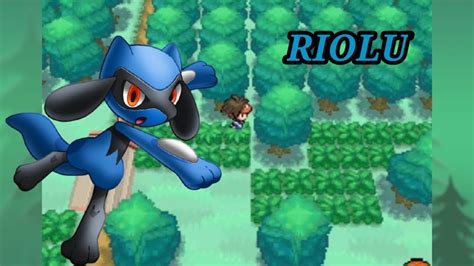 Riolu in Pokémon Black 2