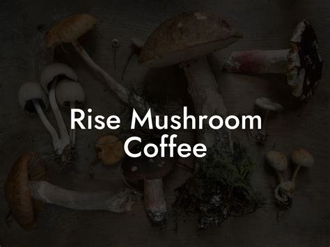 Rise Mushroom Coffee: A Transformative Brew