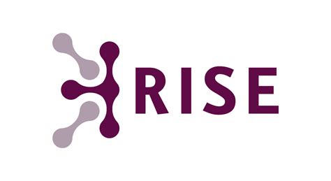 Rise Naperville: Empowering the City's Future with Collaboration and Innovation