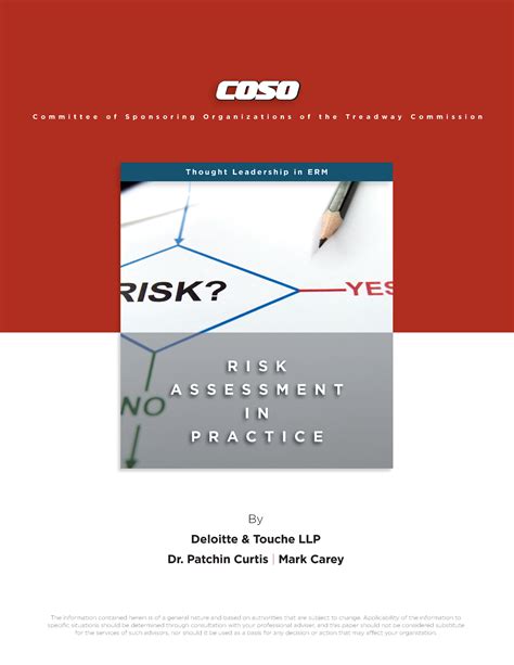 Risk Assessment In Practice Deloitte Ebook Reader