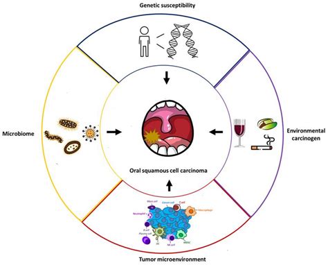 Risk Factors for Squamous Cell Cancer Tongue