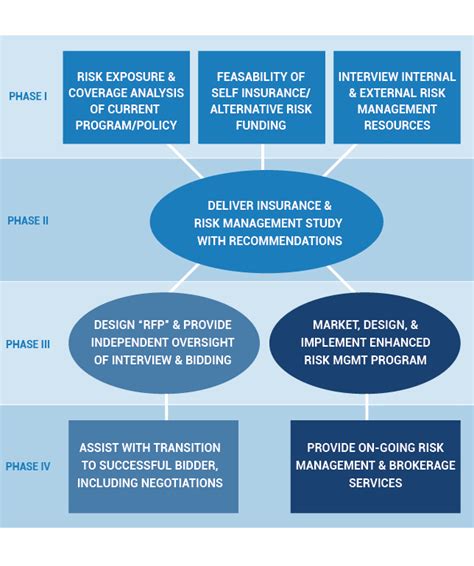 Risk Management Program Solutions Consulting PDF