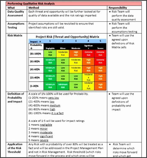 Risk Mitigation Template