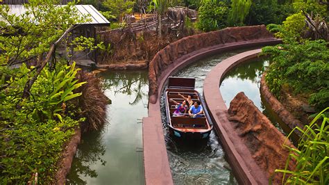 River Safari Inside Singapore Zoo: An Unforgettable Aquatic Adventure