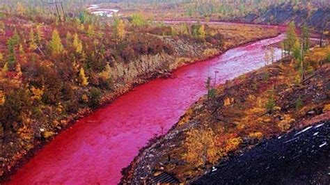 River in Russia Turns Blood Red for 100 Miles