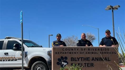 Riverside Animal Control Riverside CA: The Comprehensive Guide to Animal Care and Control