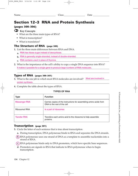 Rna And Protein Synthesis Answer Key Doc