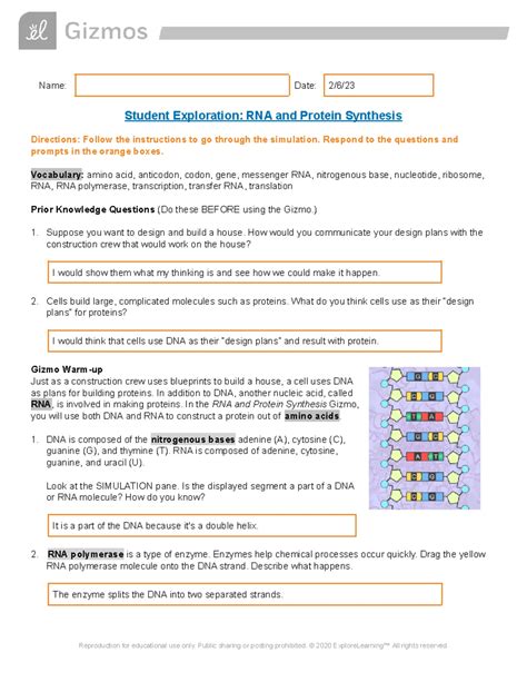 Rna And Protein Synthesis Gizmo Answer Key Epub