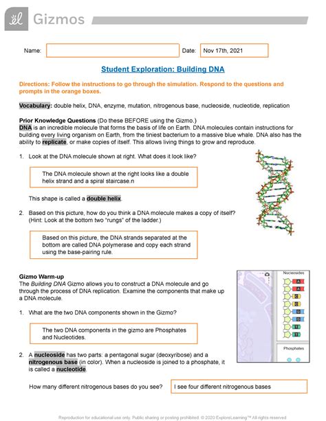 Rna And Protein Synthesis Gizmo Worksheet Answers PDF