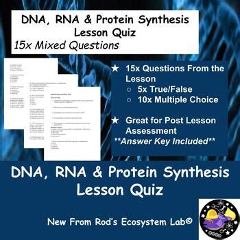 Rna And Protein Synthesis Quiz Answer Key Epub