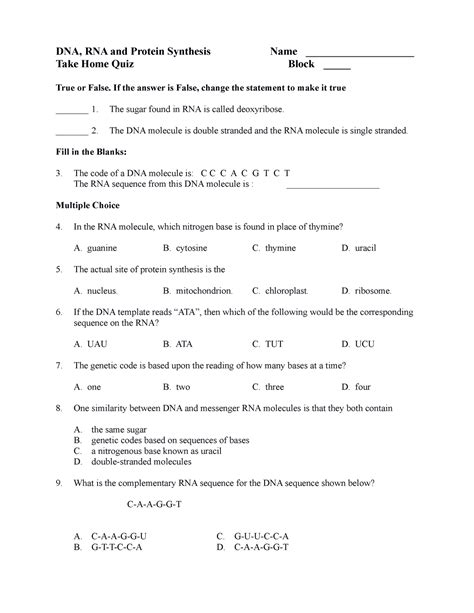 Rna And Protein Synthesis Test B Answer Epub