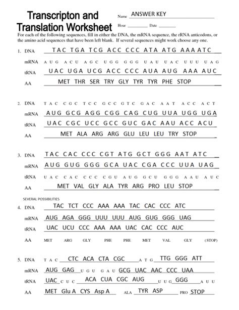 Rna And Transcription Worksheet Answers Kindle Editon