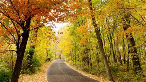 Road Trip from Seattle to Madison, WI: A Comprehensive Guide