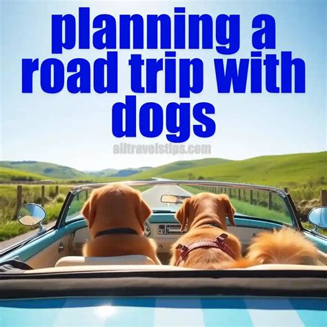 Road Trip with Dogs: The Ultimate Guide to Planning an Unforgettable Adventure