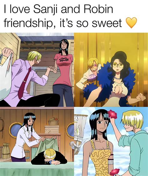 Robin and Sanji: An Unbreakable Bond of Friendship and Adventure