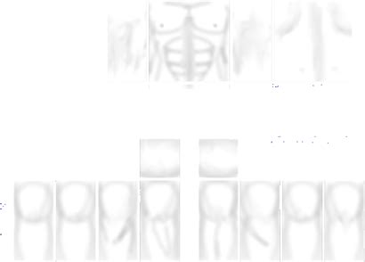 Roblox Muscle Shirt Template