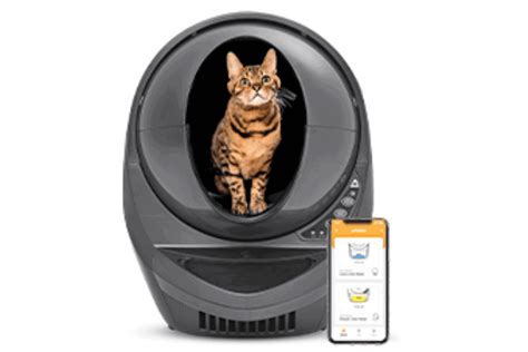 Robot Litter Box 2025: Sustainability vs. Convenience