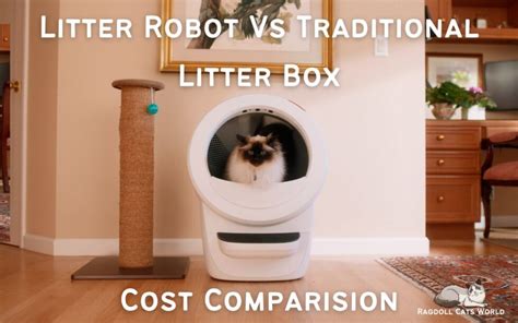 Robot Litter Box VS Traditional Litter Box