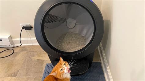 Robot Litter Box for 2025: The Ultimate VS for Small Spaces