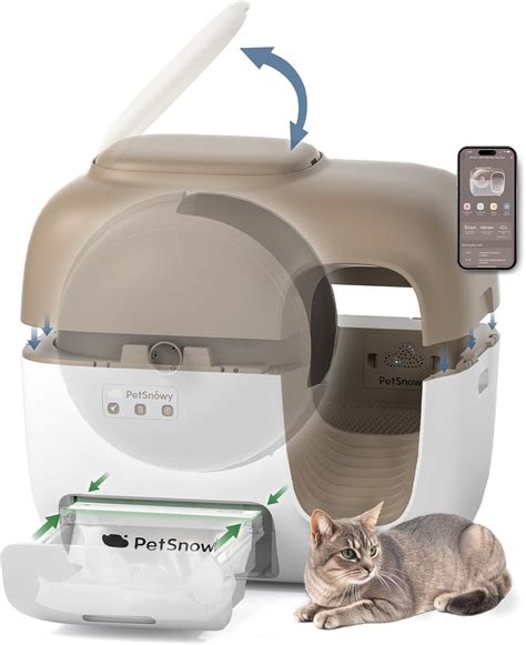 Robot Litter Box for Kittens: The Ultimate 2025 Showdown