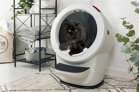 Robot litter box and cat behavior