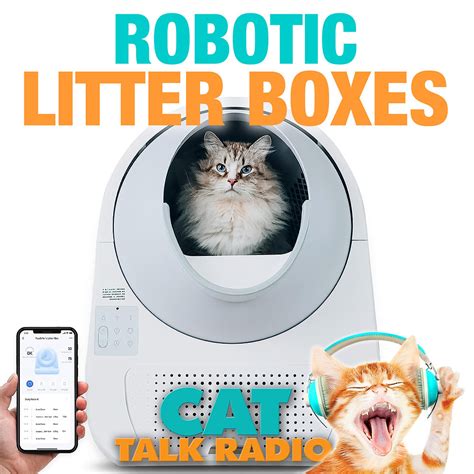 Robot litter box and human health risks